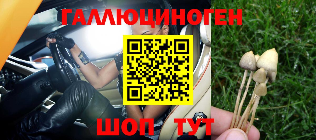 Галлюциногенные грибы ЛСД Кореновск